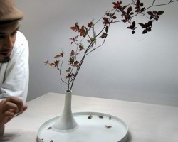 Floating Flower Vase By Studio Note