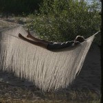 The Fantastic Nest Hammock By Ieva Laurina